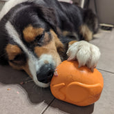 Turkey-Dog Toy-Rover Pet Products